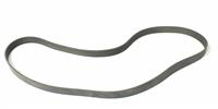 SP-381 | SP-381  Micro-V Serpentine Drive Belt (2).JPG