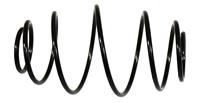 SP-577 | SP-577  Chamber Springs 6.5 Inch Special Application (1).JPG