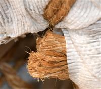 SP-813 | SP-813  Rope Grade A Manila 300 Feet Long 1 Inch Diameter Spool Reel (5).JPG