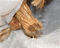 SP-813 | SP-813  Rope Grade A Manila 300 Feet Long 1 Inch Diameter Spool Reel (6).JPG