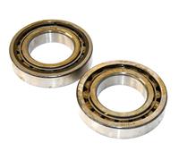 SP-856 | SP-856  Bearing Roller Cylindrical Set of 2 Bradley Fighting Vehicle System BFVS (3).JPG