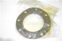 SP-0072 | gasket 10864231 (1).JPG