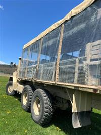 T-09052026-6 | safari 3.jpg